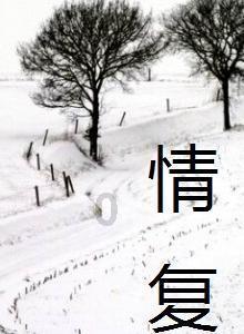 我有两件瓷器朋友帮忙研究一下，看看什么年代，价格多少游戏画面