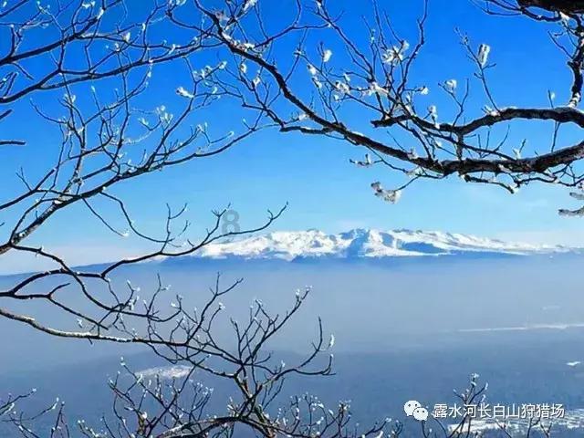 电脑开机 刚显示完WINDOWS就蓝屏 自动重启？请问是何原因游戏画面